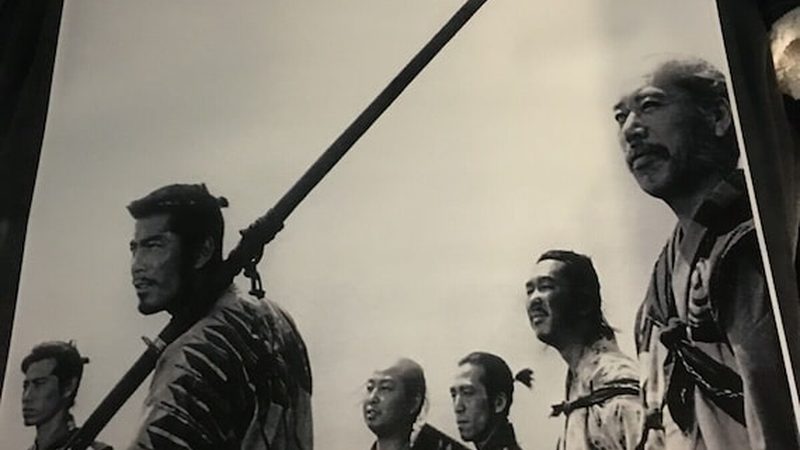 别墅花园植物批发：如何挑选高品质苗木？**