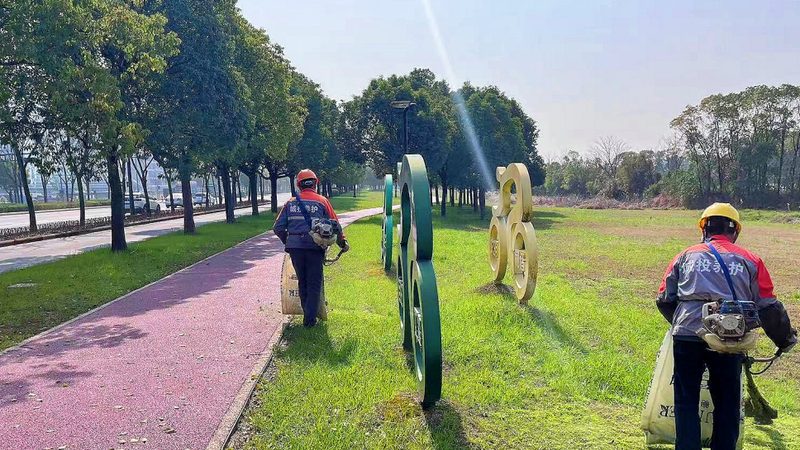 草坪养护加盟代理：新手必看教程，告别入门误区