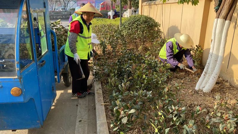 市政绿化施工资质代办：合规之路，您了解多少？**