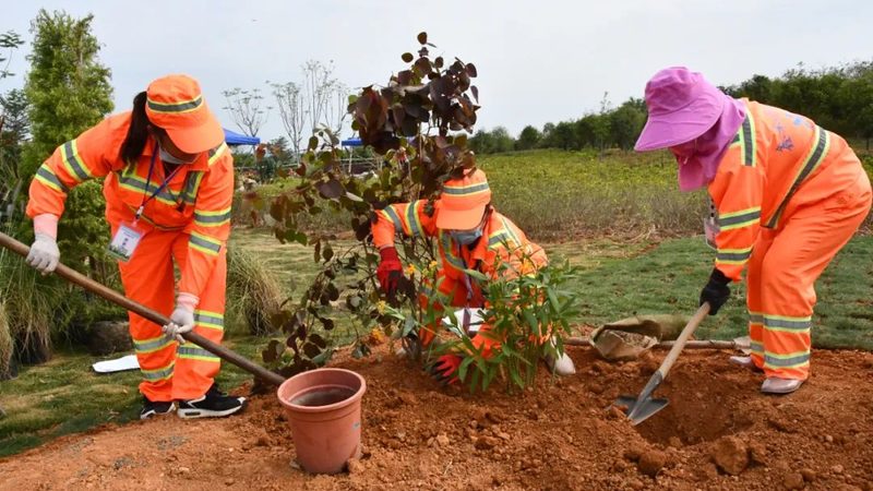 花园自动喷淋系统安装费用：影响成本的关键因素**