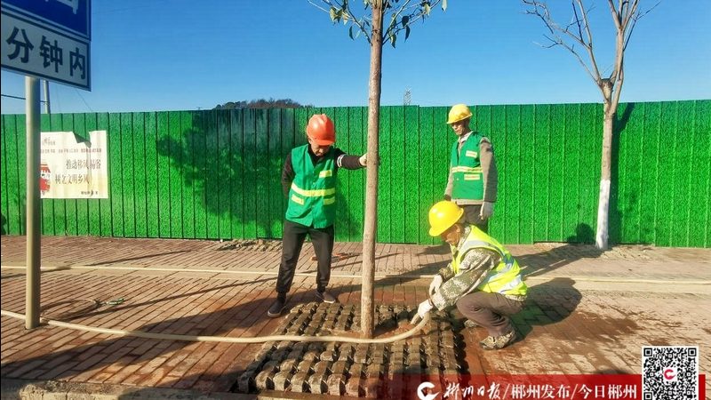 小区绿化施工踩坑实录：从土方到成景的五个关键管控点