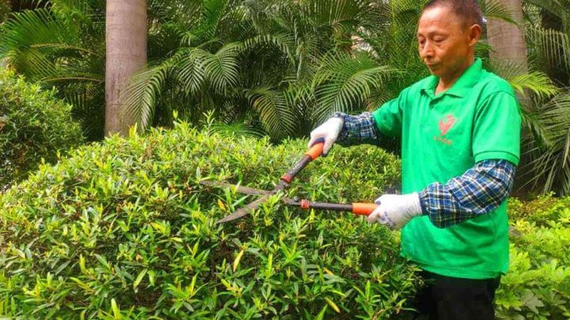 园林景观施工图设计流程揭秘：从图纸到实景的蜕变之路