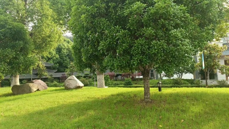 园林公司项目经理职责解析：关键角色与工作要点**