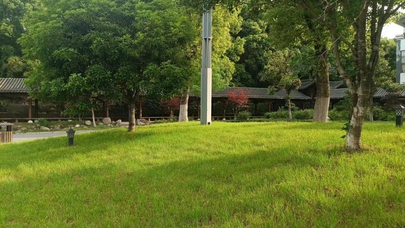 绿化苗木种植公司合作，这些条件你了解吗？**